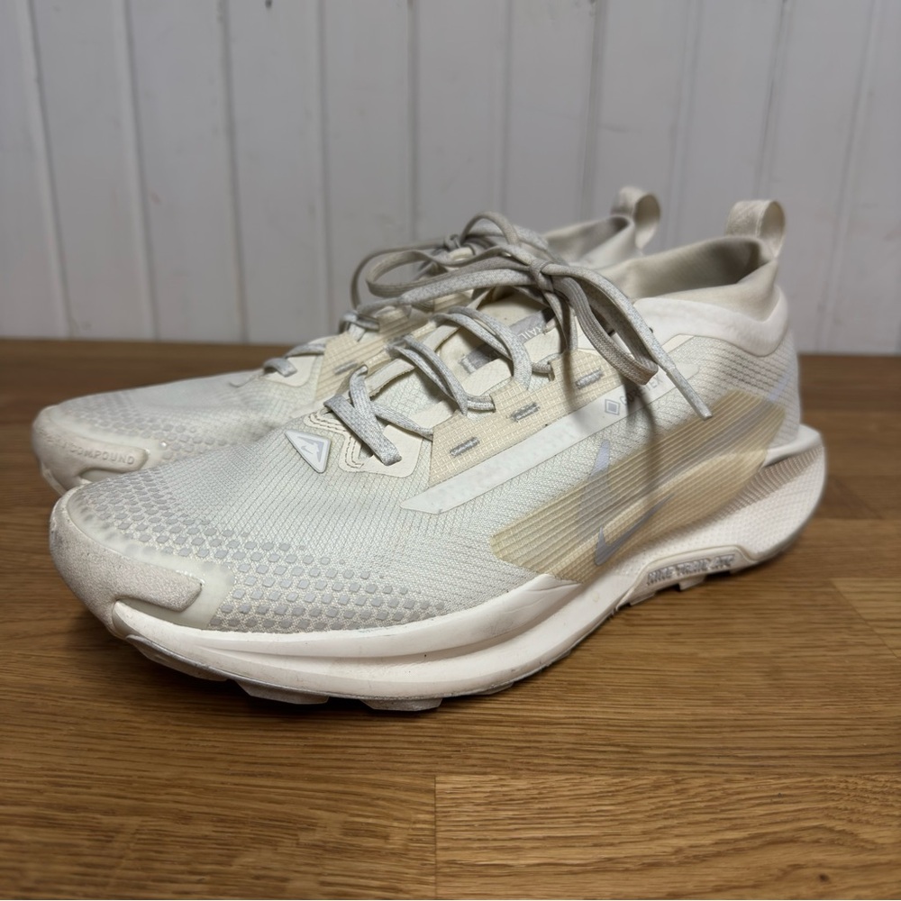 Nike Pegasus Trail 5 GoreTex Running Shoes